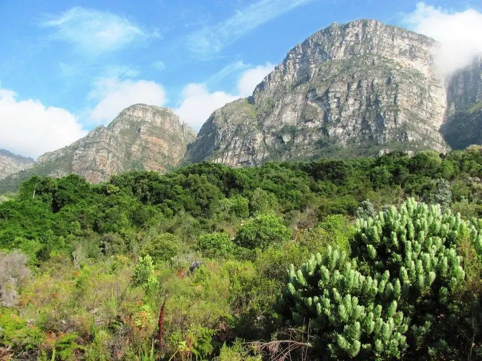 Celtic Thursday Trail - Plumpudding Route