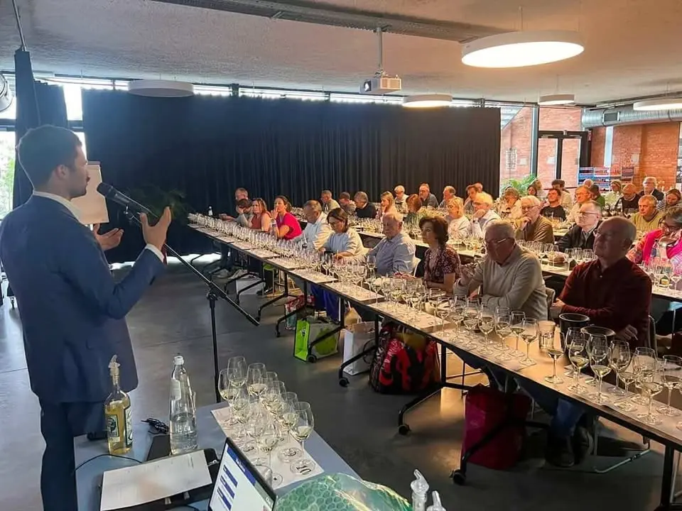 Wine Bootcamp