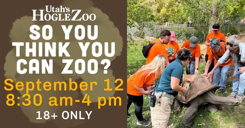 So you think you can zoo?