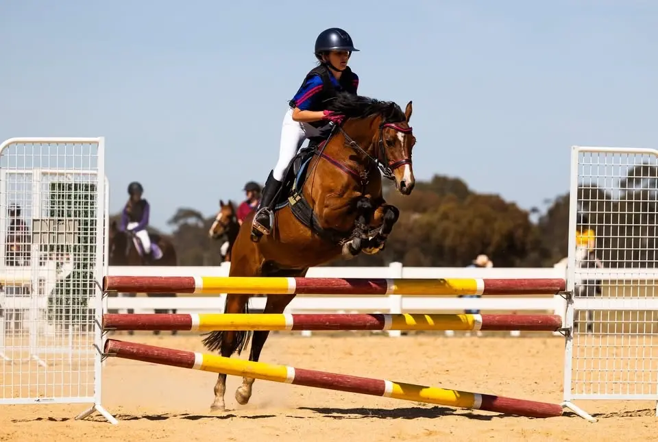 Bullengarook Showjumping Day