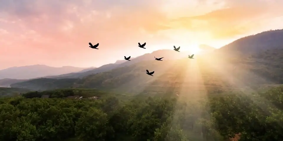 Women’s Meditation & Deepening Series