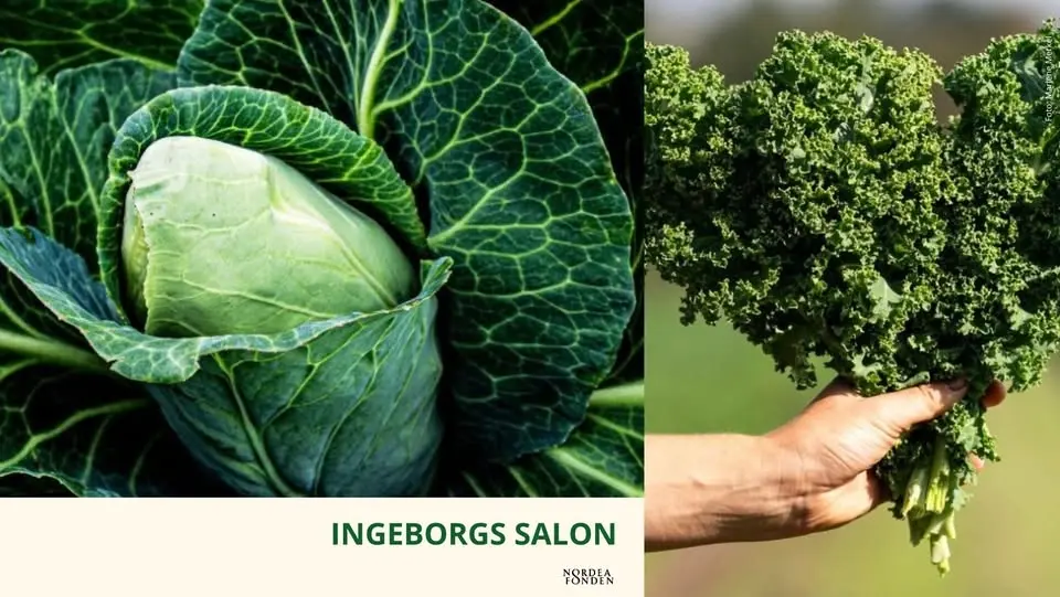 Gratis foredrag 'Jordforbedring & frø som magtfaktor' (kræver tilmelding)
