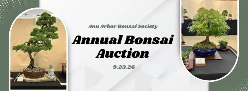 September Meeting- Annual Bonsai Auction 