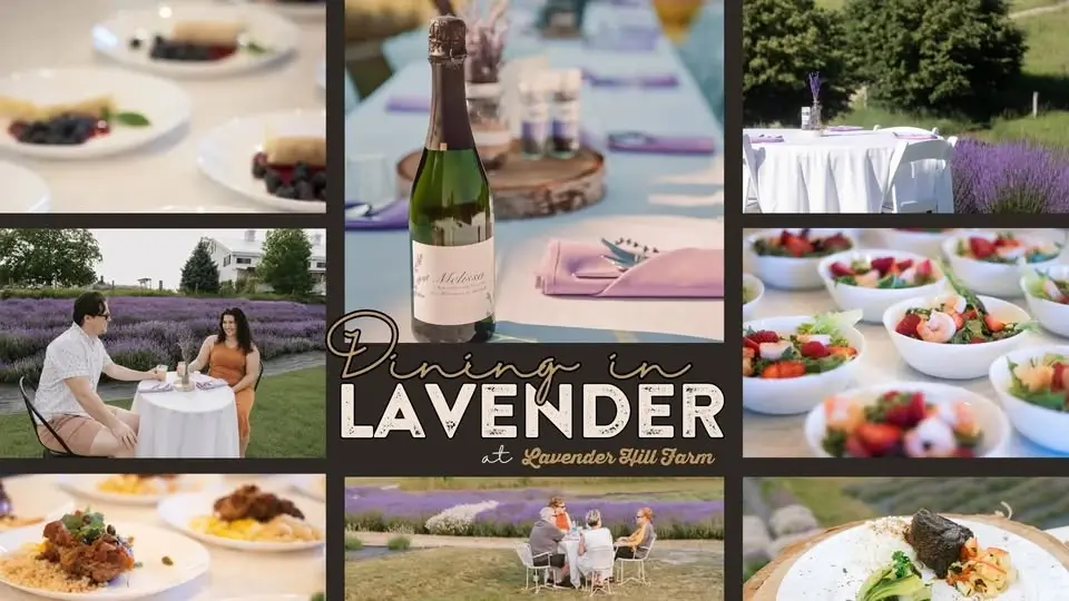 Dining in Lavender