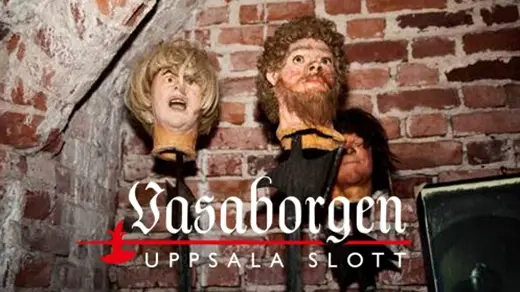 Guidning Museinatt i Vasaborgens museum kl 18