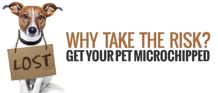 Microchip Clinic: Hollywood Feed/Erin Way Memphis