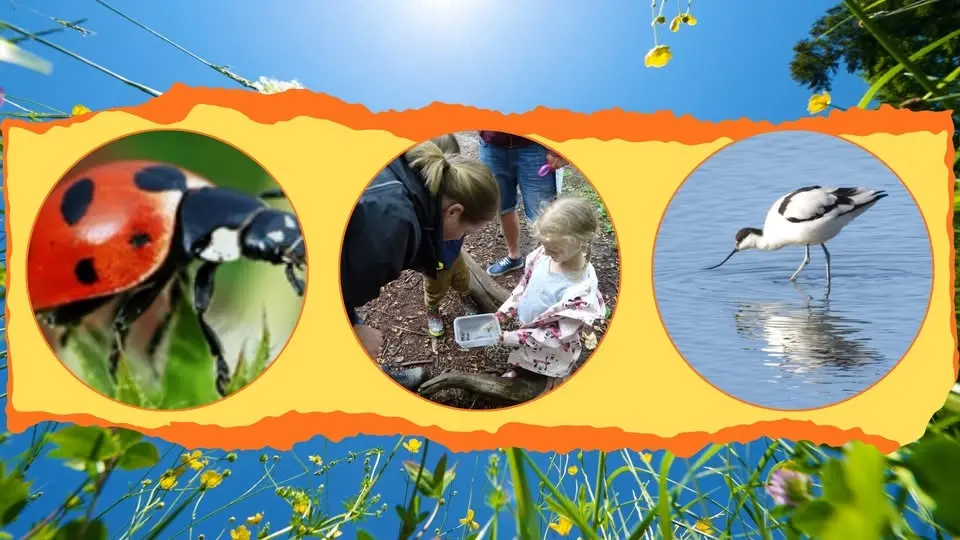 FREE Summer Wildlife Discovery Day
