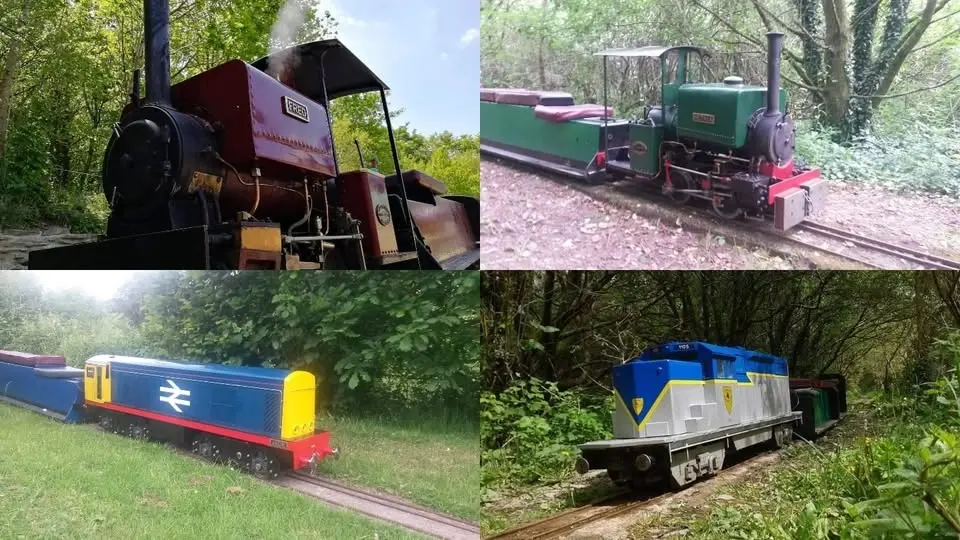 Public Running Day