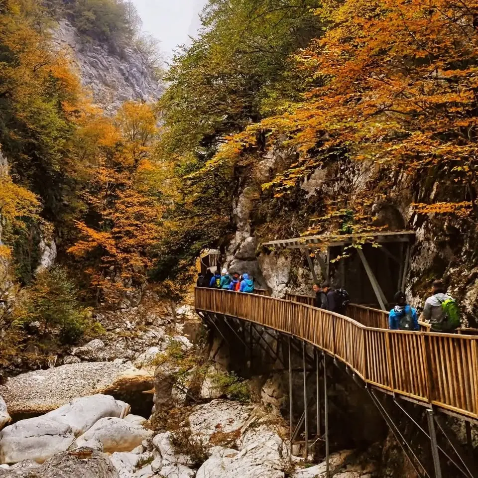 TrekinTurkey İle Sonbahar Renkleriyle Horma & Valla Kanyonları ile Yenice Ormanları 7-8.11.2026