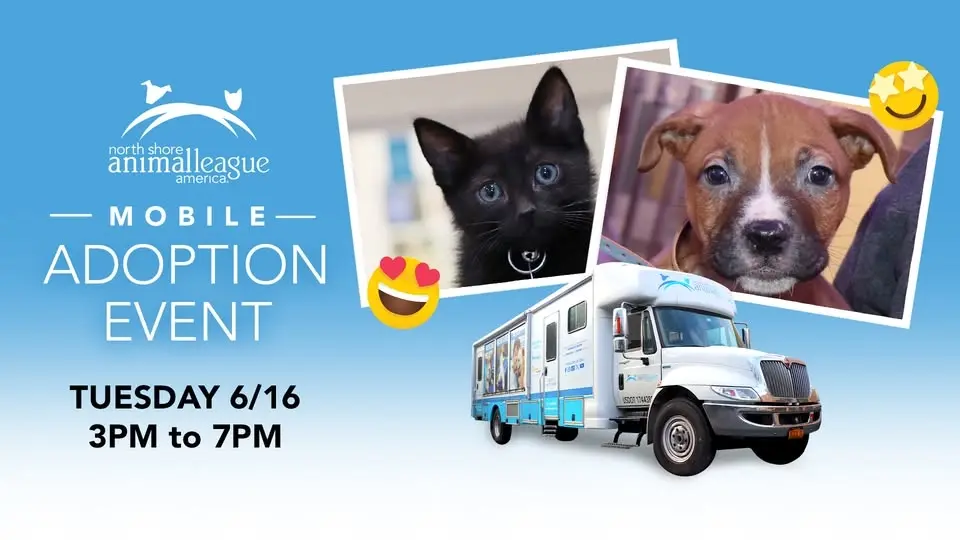 Meet Your New Best Friend at our MOBILE PET ADOPTION EVENT! 