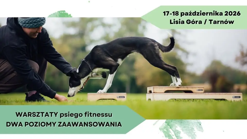 WARSZTATY psiego fitnessu z Adą Jaworską - 17-18.10.2026