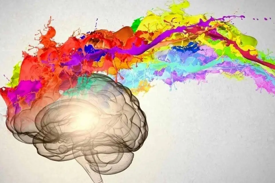 corso specialistico INTELLIGENZA EMOTIVA
