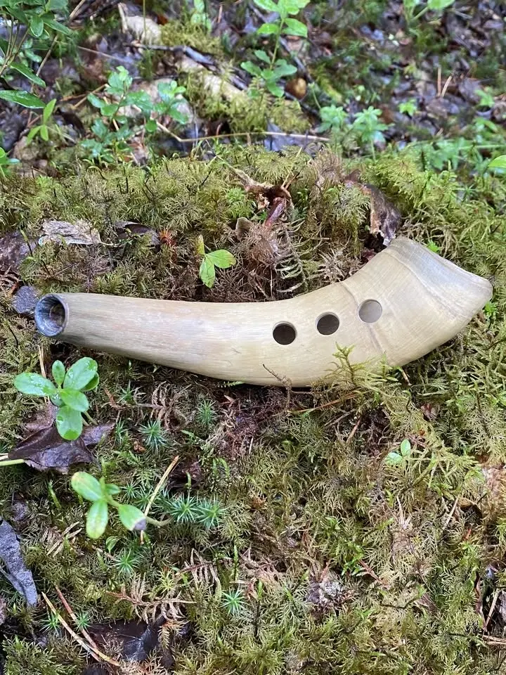 Vallmusik kring Stångtjärn