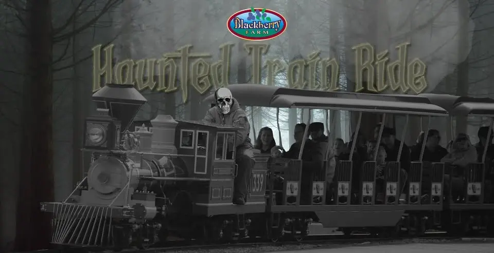 Haunted Train Ride