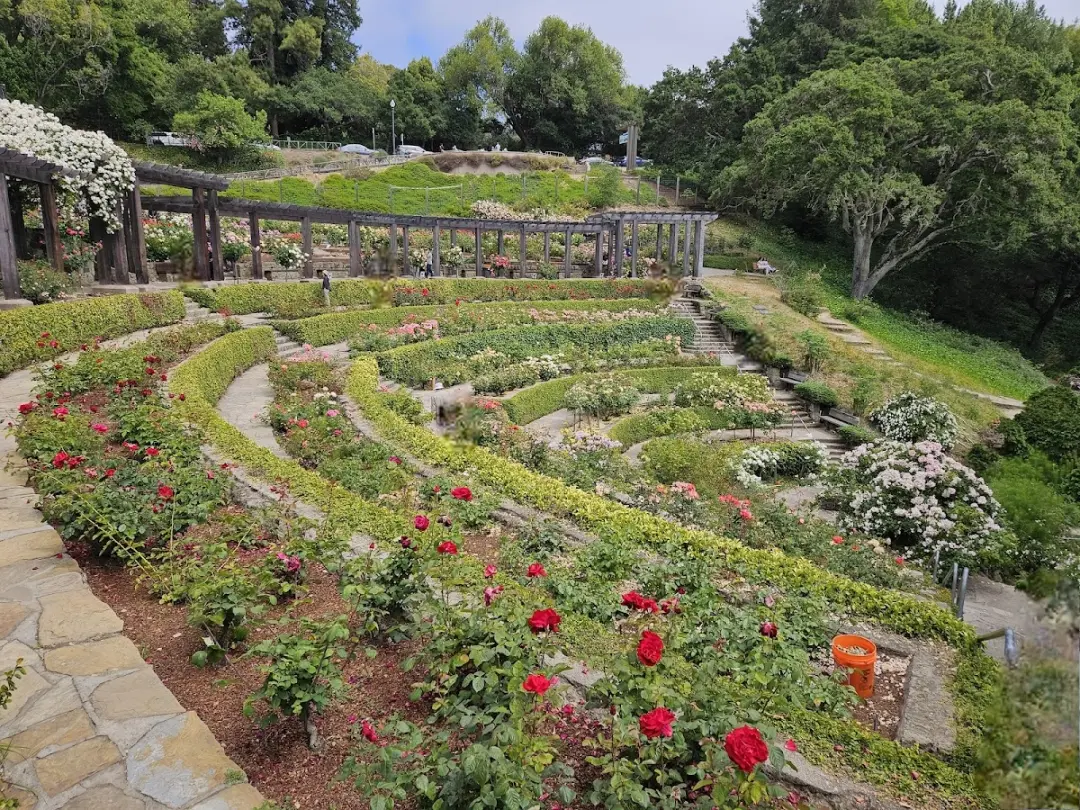 East Bay Optimizers: Trail & Roast