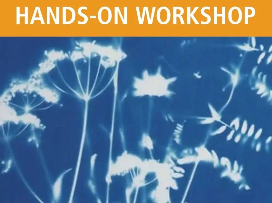 Cyanotype Print Making
