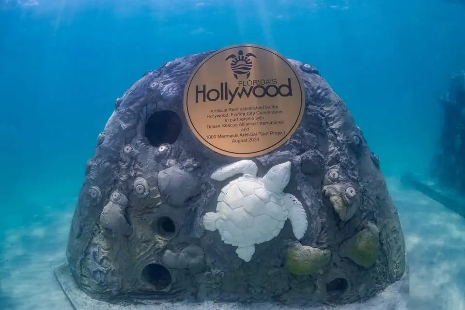 🍻🌴 HOLLYWEIRD SUNDAY FUNDAY – TRAIL #3 (H4SF#3) 🏃‍♂️🐾