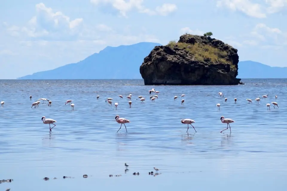 Lake Natron Day Trip