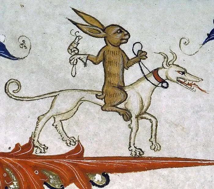 Consort's Champion Martial