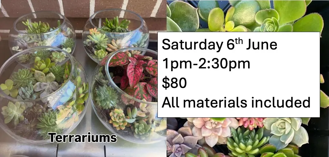 Terrarium Garden workshop