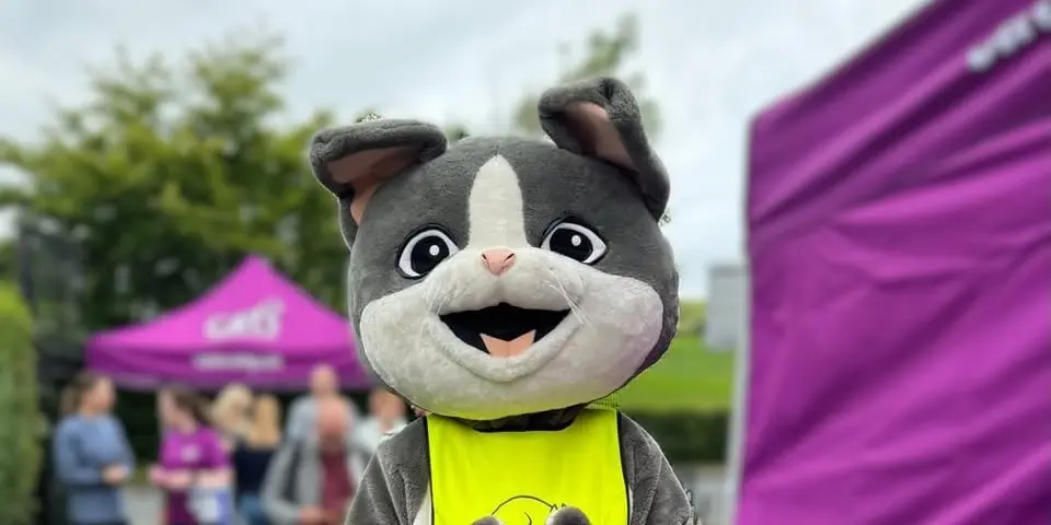 Cats Protection Summer Open Day