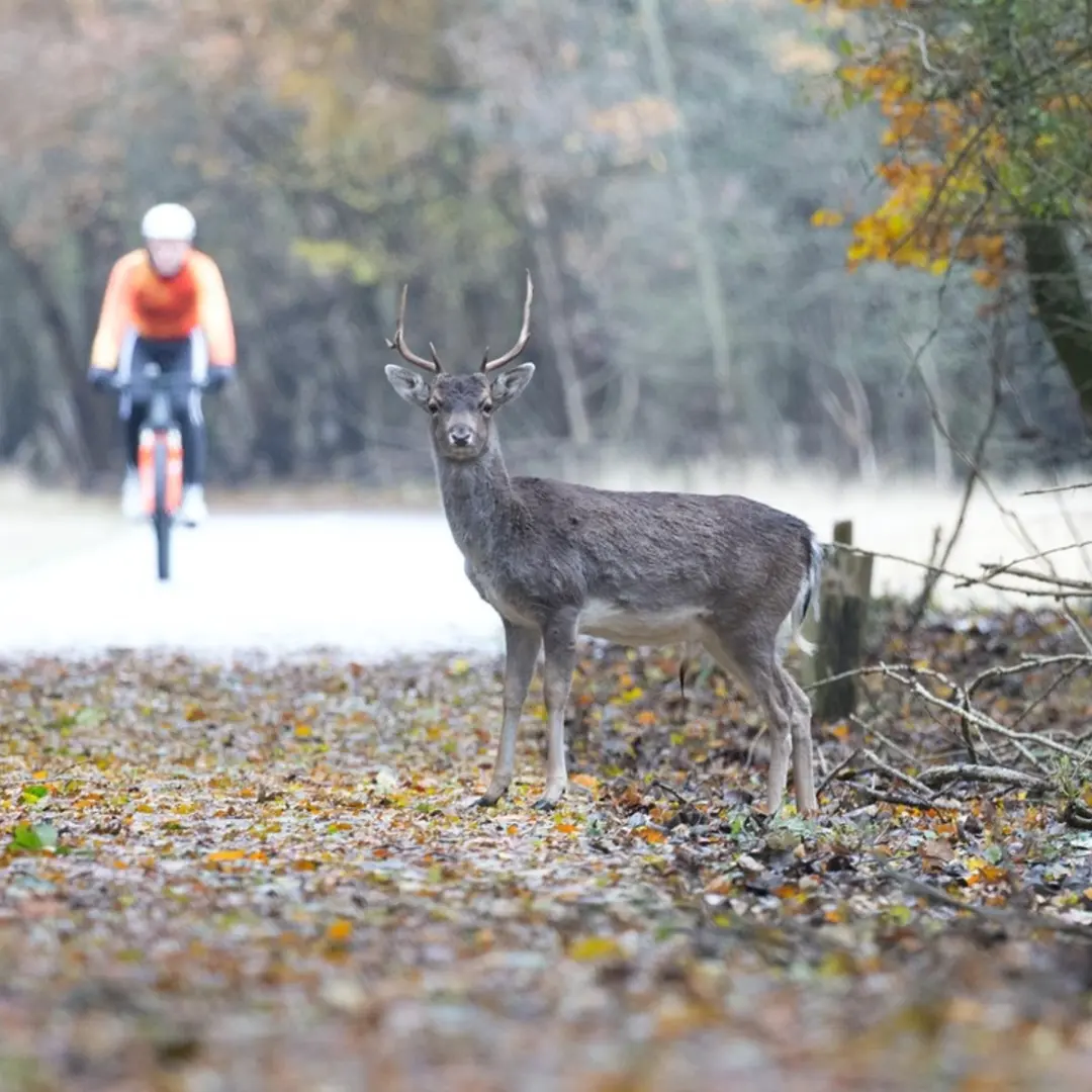 Tullio monthly ride out + Founders & Investors Bike Ride + Coffee Social