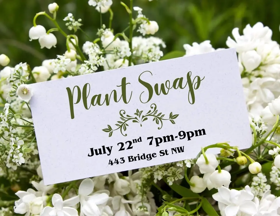 Patio Plant Swap