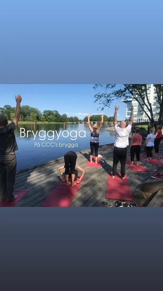 Bryggyoga