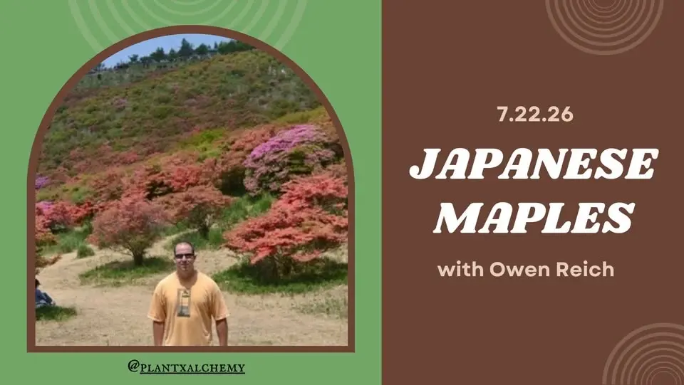 July Meeting- Japanese Maples with Owen Reich 