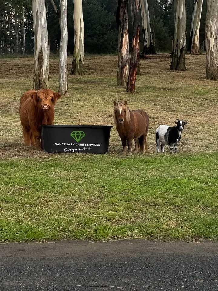Horse Care & Farm Hand Program