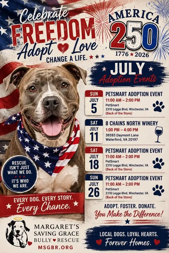 Adoption event