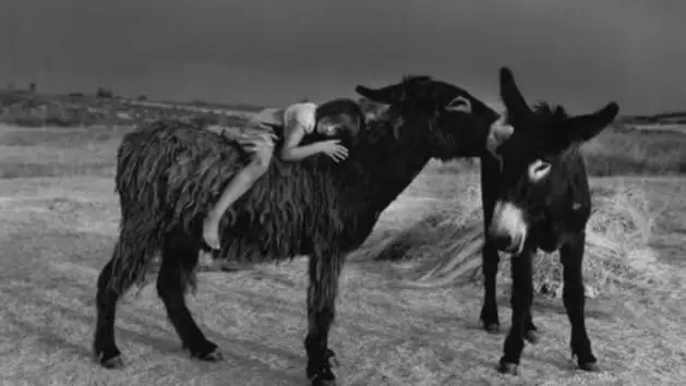 Expo PHotoESPAÑA: Instantes de Luz. 12 Premios Nacionales de Fotografía
