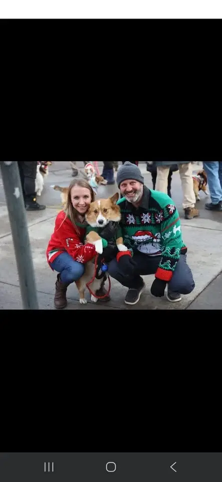 Ugly Sweater Corgi Stroll! 