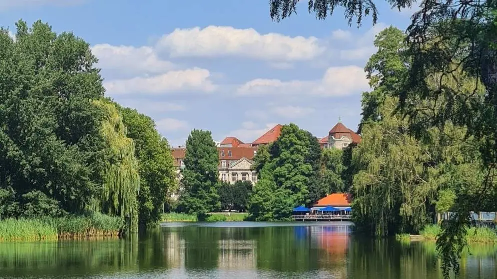 🍷Picnique, Pingpong and more at Lietzensee (Charlottenburg)