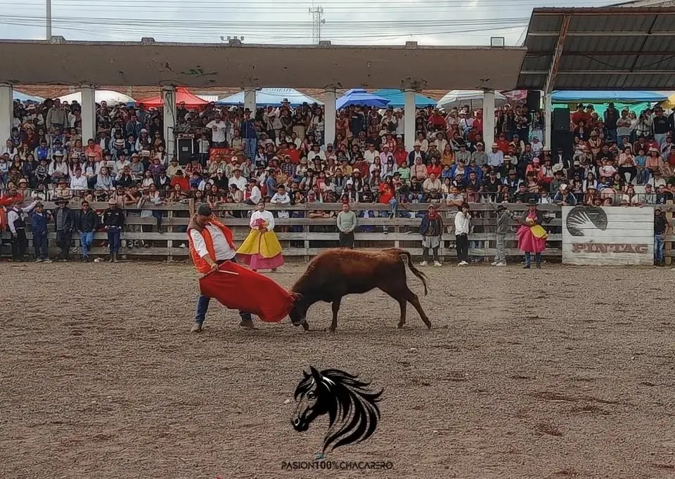 FESTIVAL DE TOROS POPULARES UYUMBICHO 2026