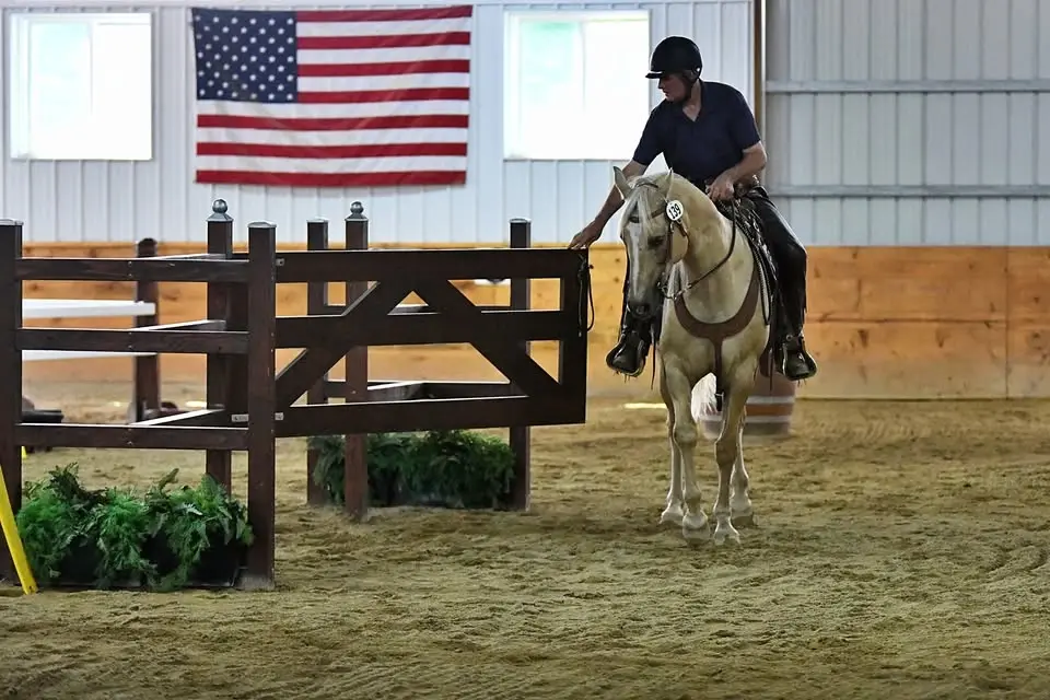 Working Equitation - Obstacle Practice Aug. 1st