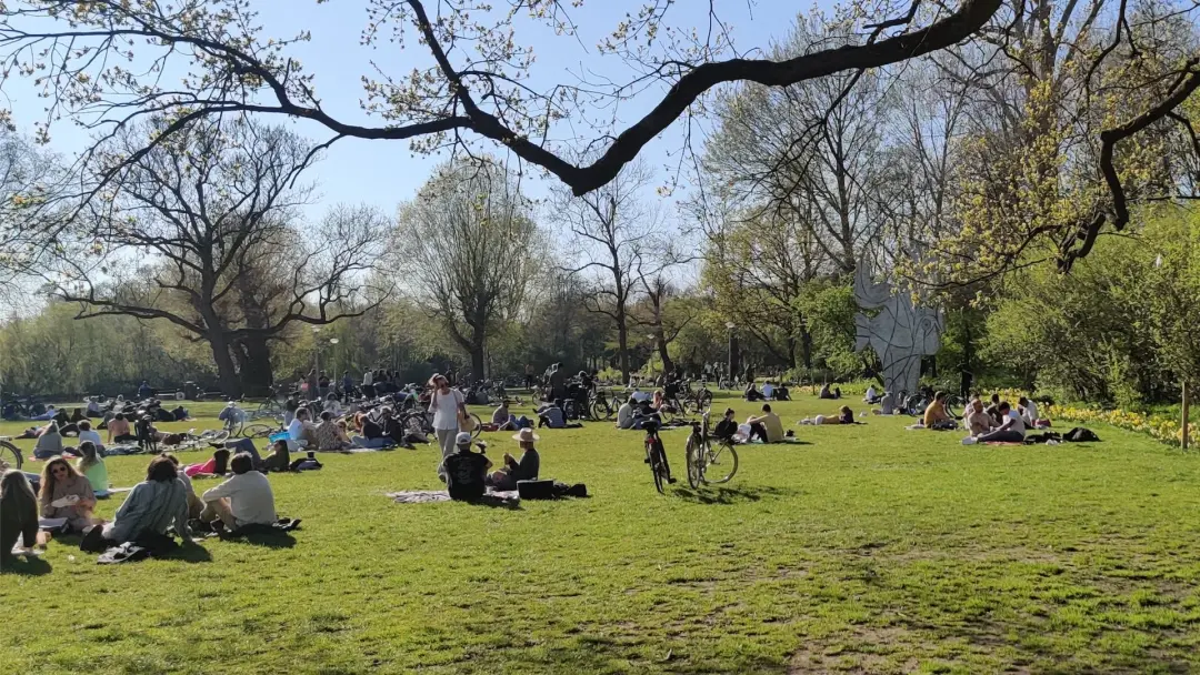 Afterwork Picnic: Beers & Games