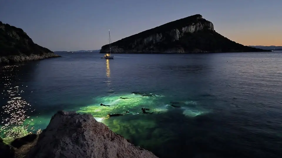Snorkeling notturno