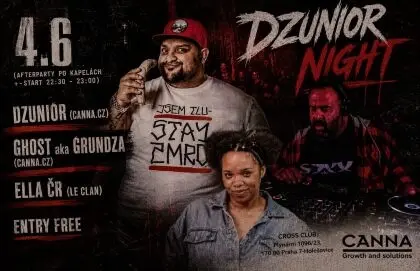 DZUNIOR BDAY BASH