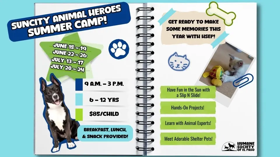 Suncity Animal Heroes Summer Camp