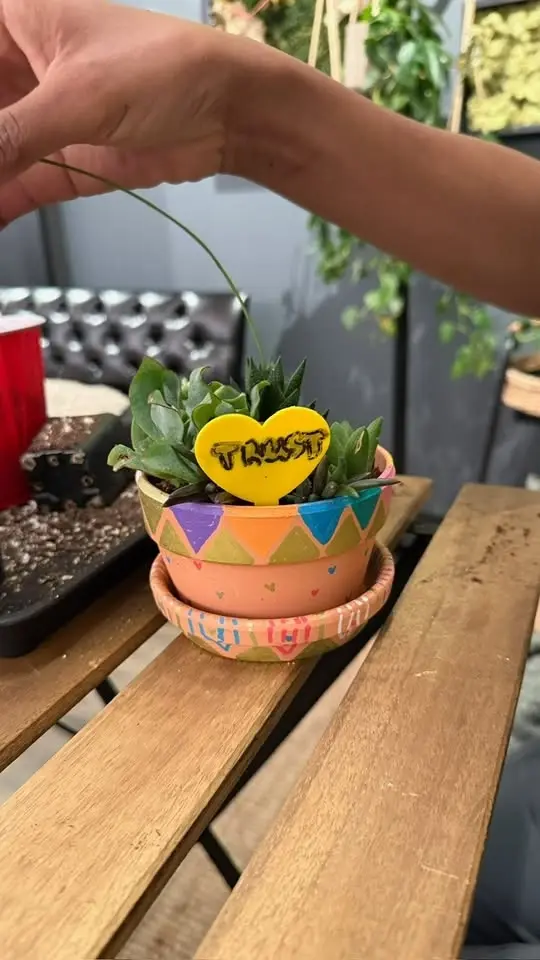 Succ n' Sip - June 27