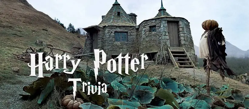 Harry Potter Trivia Night