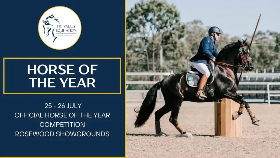 TVE OFFICIAL HORSE OF THE YEAR COMPETITION