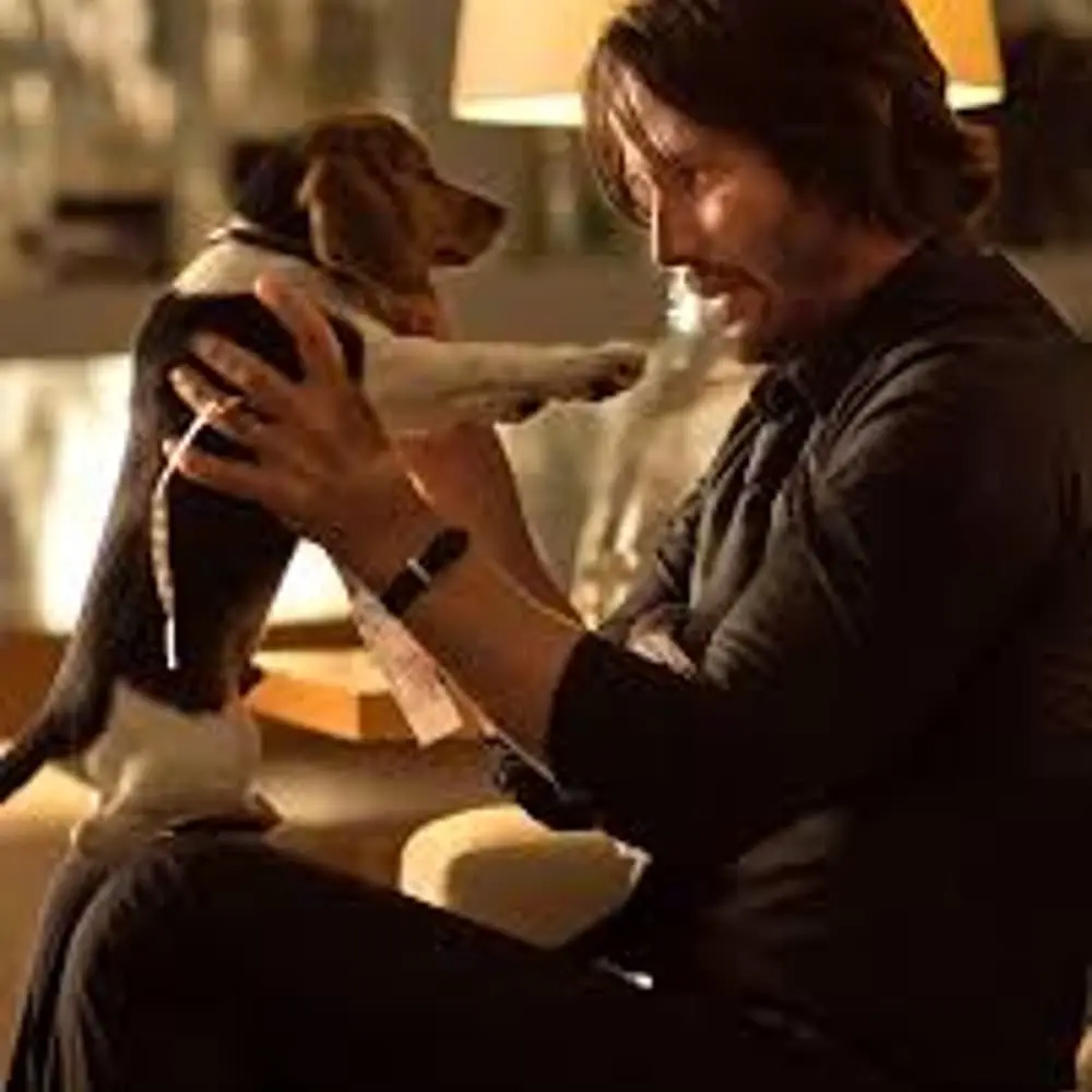 Fur-iday Night Flicks: John Wick