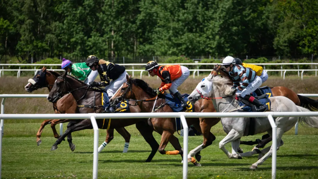 Galoppsöndag på Göteborg Galopp