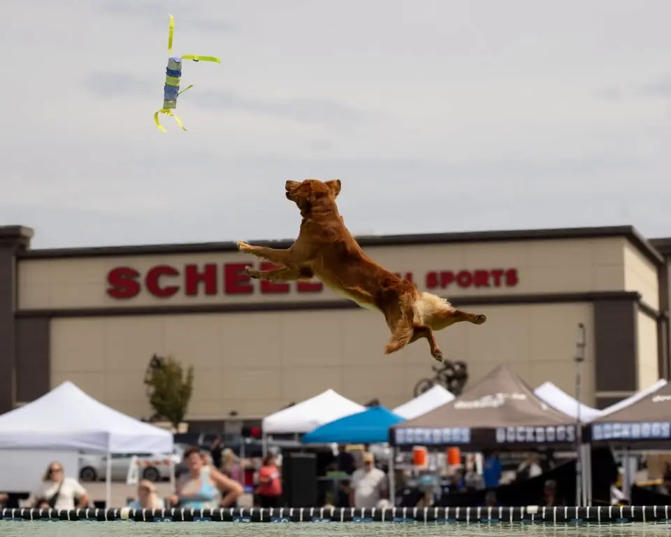 DockDogs® at Scheels Hunting Expo | Wichita, KS