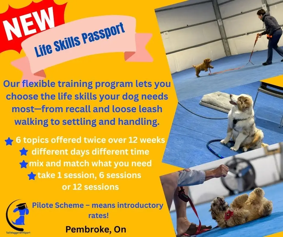 Passport to Life Skills