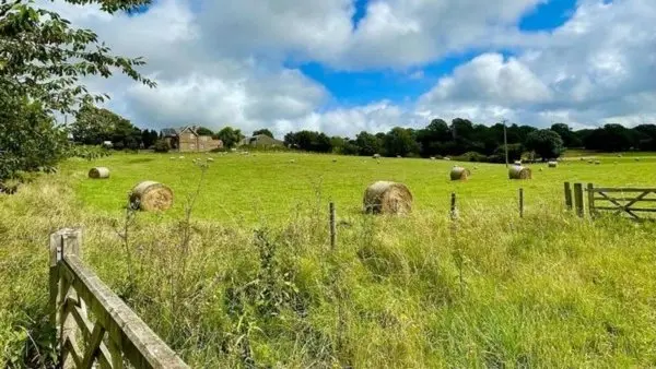 GREEN 🌲🌱🌿 💧£5 WALK - BOSTON MANOR CIRCULAR.