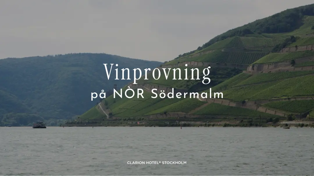 Vinprovning på NÒR