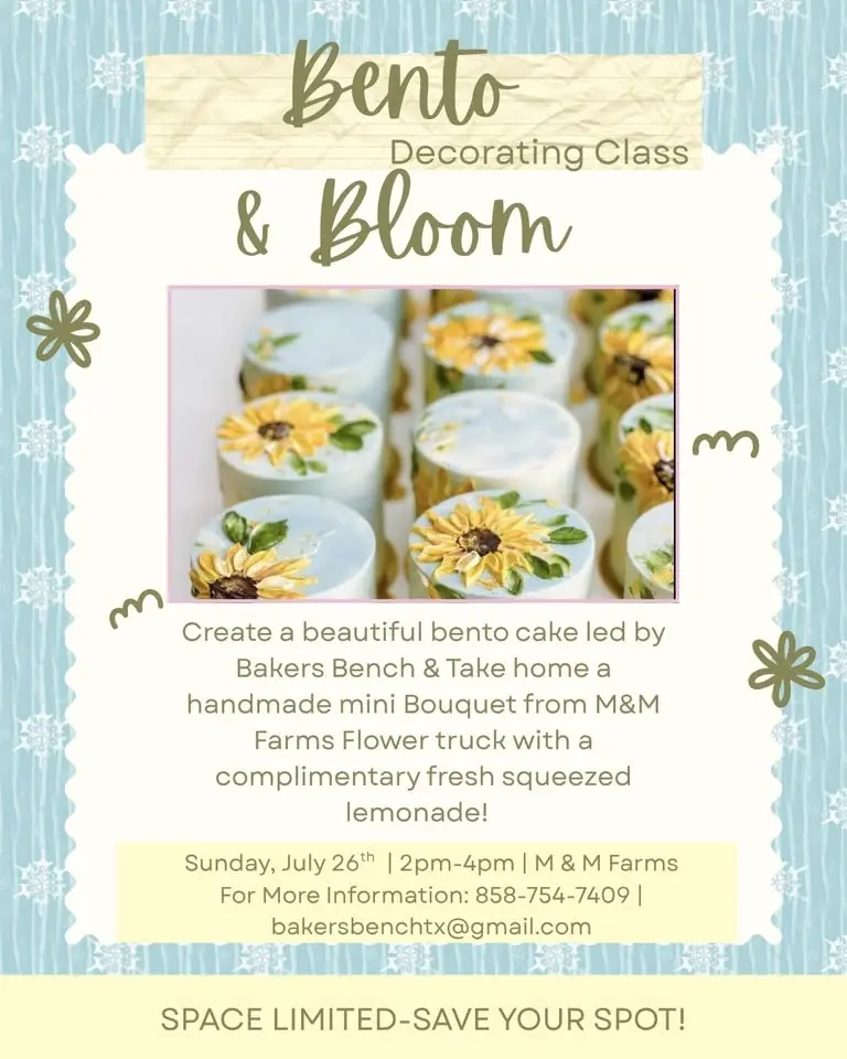 Bento + Bloom Cake decorating Class